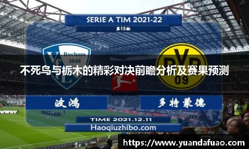 不死鸟与栃木的精彩对决前瞻分析及赛果预测