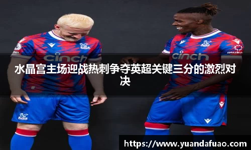 水晶宫主场迎战热刺争夺英超关键三分的激烈对决